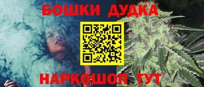 стафф Будённовск