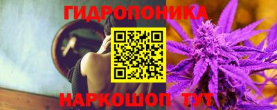 стафф Будённовск