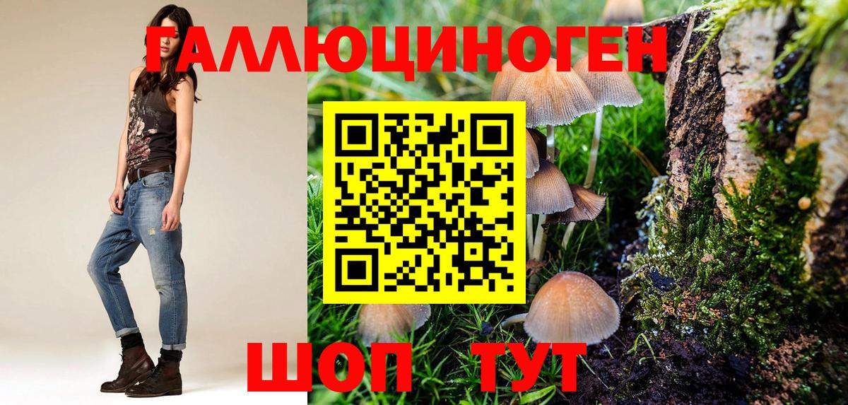 Псилоцибиновые грибы GOLDEN TEACHER Нижневартовск